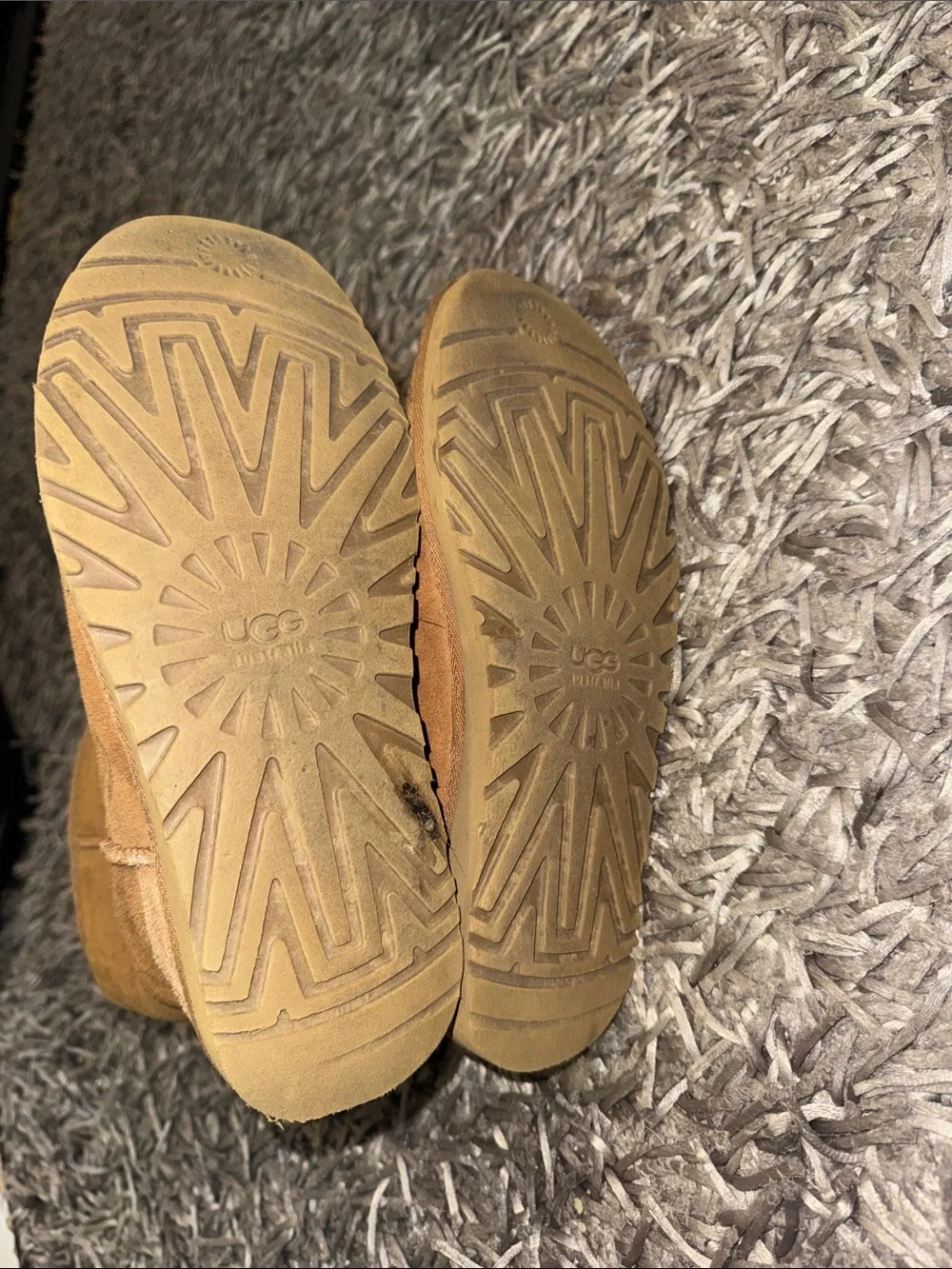 Classic Chestnut Shearling Winter Uggs
